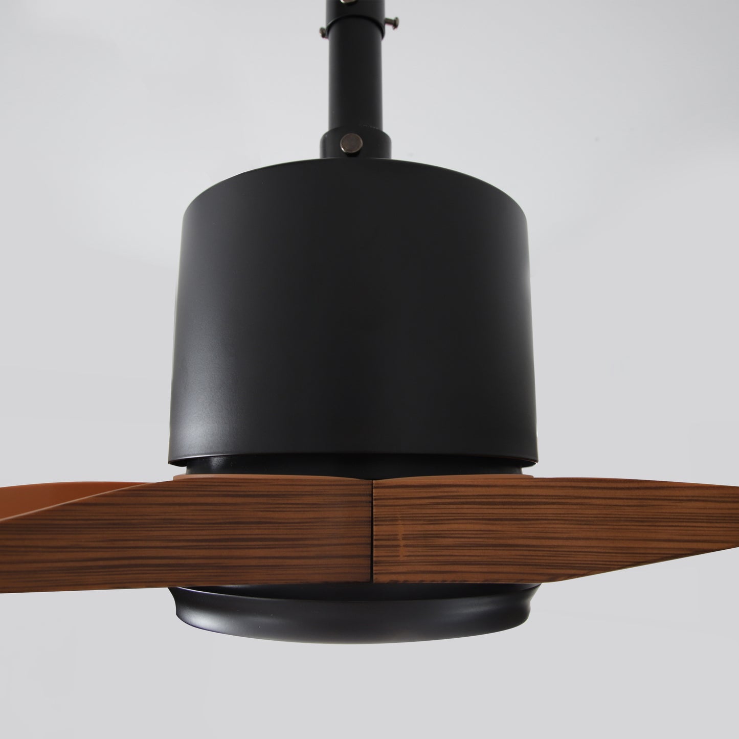 42" Indoor/Outdoor Black Plug-In Ceiling Fan with LED Light