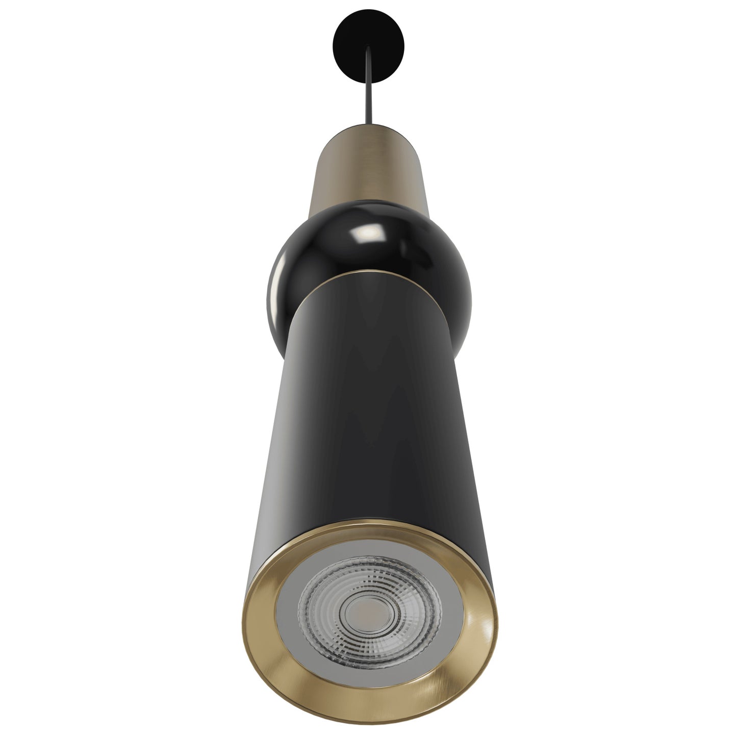 Cicada 1-Light Brushed Brass and Black Pendant Light