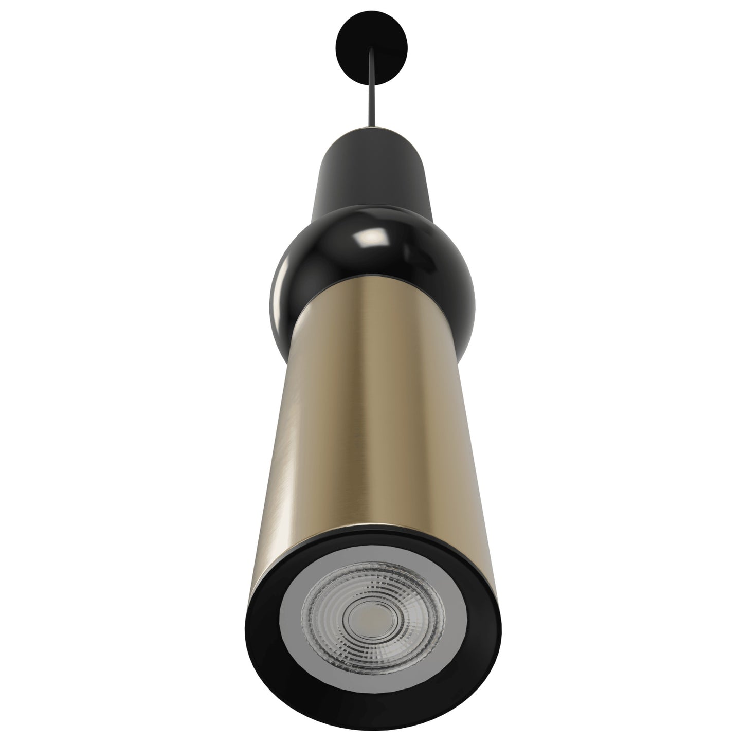 Cicada 1-Light Brushed Brass and Black Pendant Light