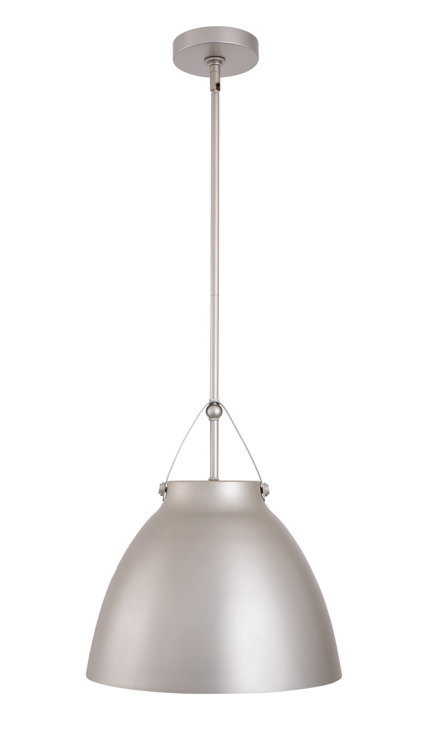 Loft Modern 1-Light Silver Metal Pendant Light