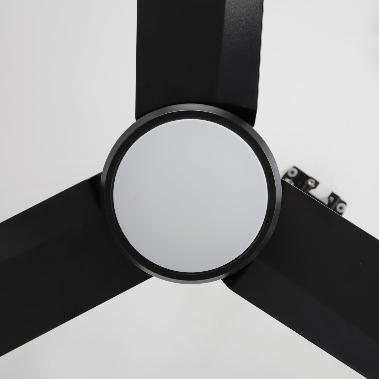 42" Indoor/Outdoor Black Plug-In Ceiling Fan with LED Light