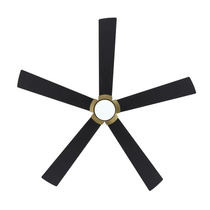 64" Gold & Black Ceiling Fan with Light & Remote – Modern 6-Speed, Quiet DC Motor