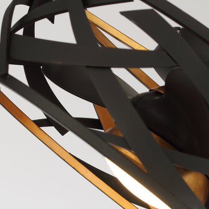 21" Modern Black Cage Ceiling Fan with LED Light