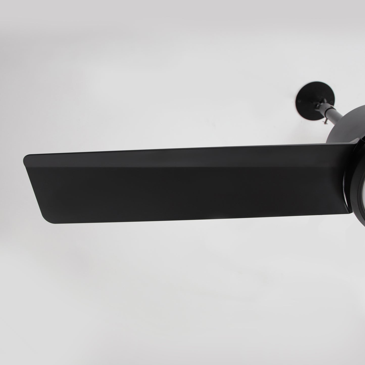 42" Indoor/Outdoor Black Plug-In Ceiling Fan with LED Light