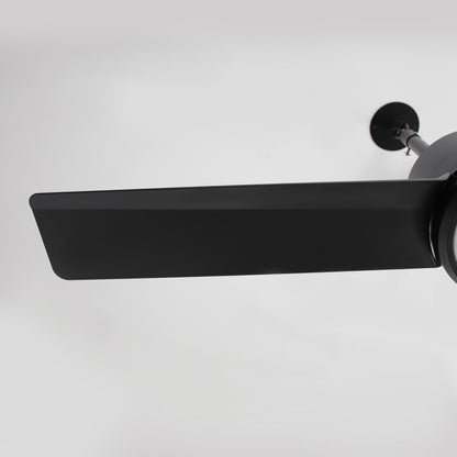 42" Indoor/Outdoor Black Plug-In Ceiling Fan with LED Light