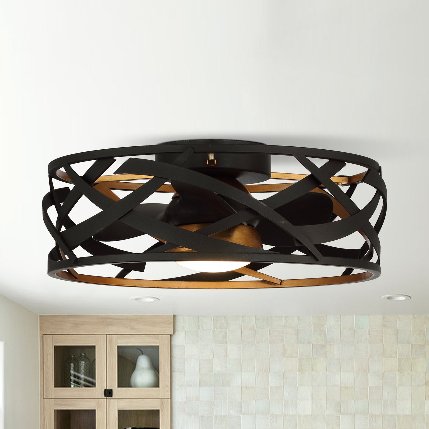21" Modern Black Cage Ceiling Fan with LED Light