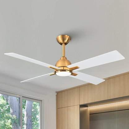 48" 4-Blade Modern White and Gold Ceiling Fan with Light