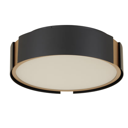 Ember 10" Matte Black with Brass LED Flush Mount Ceiling Light