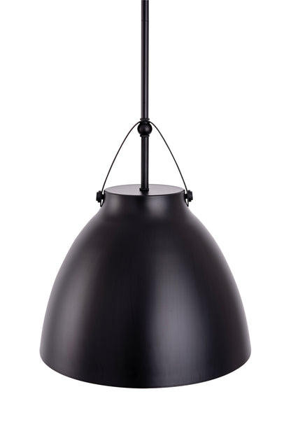 Loft Modern 1-Light Black Metal Pendant Light