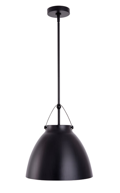 Loft Modern 1-Light Black Metal Pendant Light