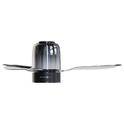 Ceiling Fan with Bluetooth Speaker, RGB LED Light, 48-Inch