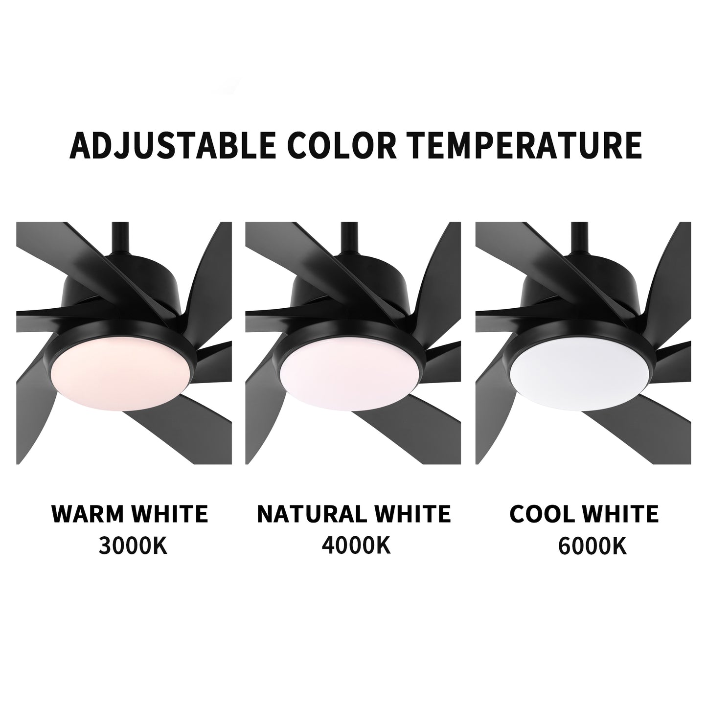 64" Matte Black Ceiling Fan with Light & Remote – Quiet 6-Speed DC Motor
