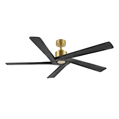 54" Gold & Black Ceiling Fan with Light & Remote – Modern 5-Blade, Quiet DC Motor