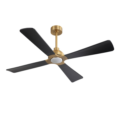 56" Gold & Black Ceiling Fan with Light & Remote – Modern 4-Blade, Quiet DC Motor
