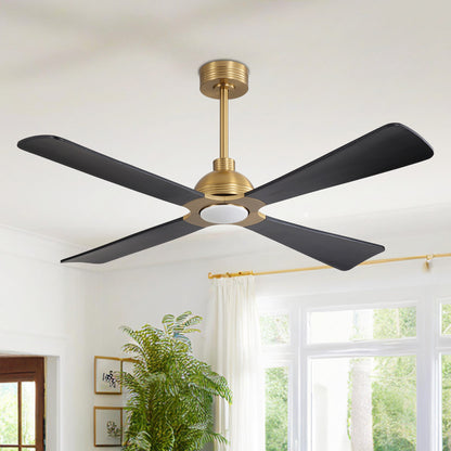 56" Gold & Black Ceiling Fan with Light & Remote – Modern 4-Blade, Quiet DC Motor