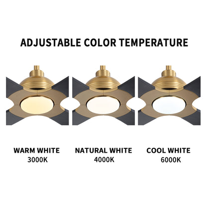 56" Gold & Black Ceiling Fan with Light & Remote – Modern 4-Blade, Quiet DC Motor