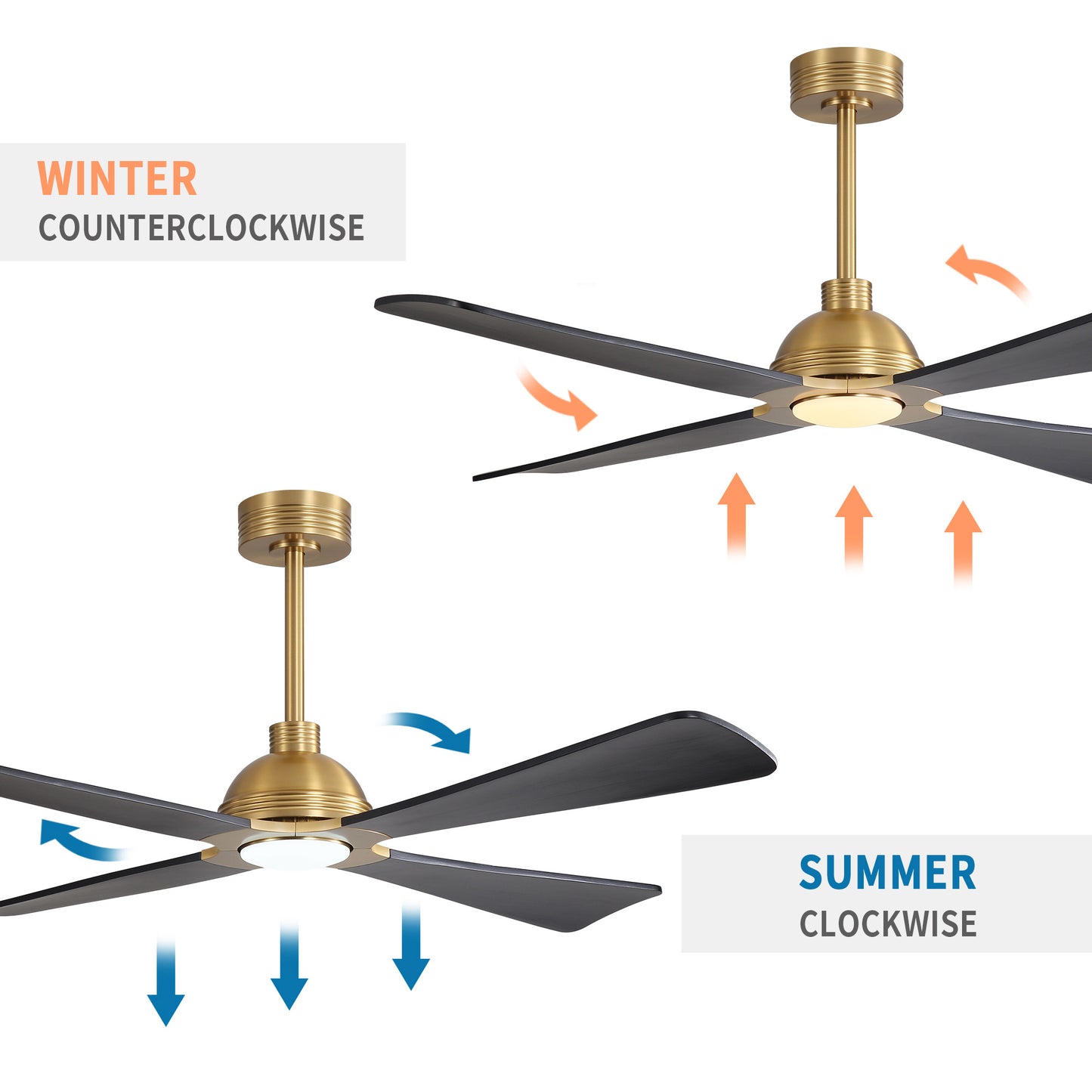 56" Gold & Black Ceiling Fan with Light & Remote – Modern 4-Blade, Quiet DC Motor