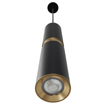 Cicada 1-Light Black With Knurled Brass Pendant Light