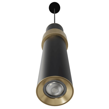 Cicada 1-Light Black With Knurled Brass Pendant Light