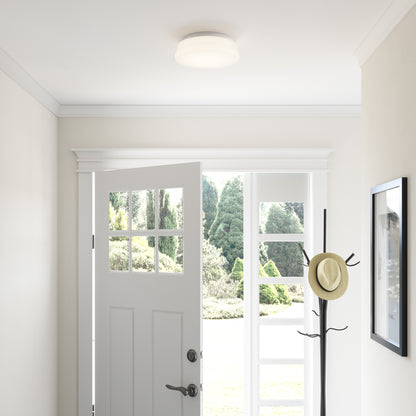 Finn 1-Light Nickel LED Flush Mount Ceiling Light